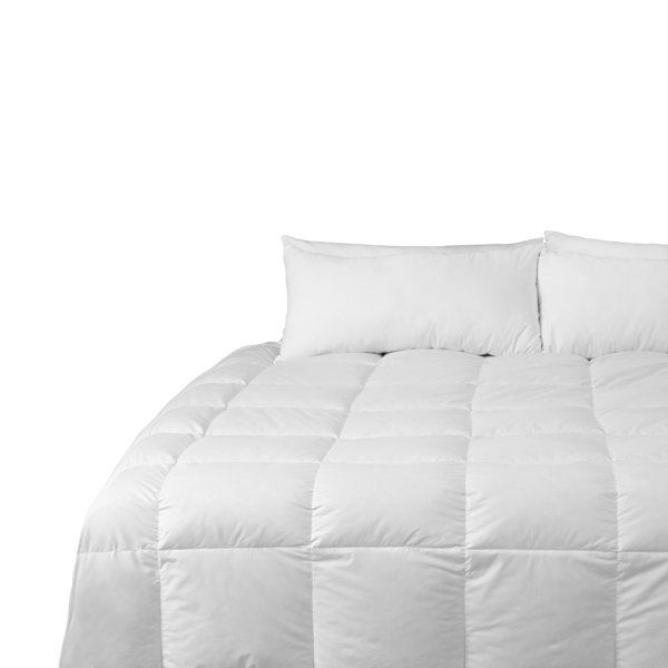 Lark Manor Pari All Season Canadian Goose Down Comforter & Reviews